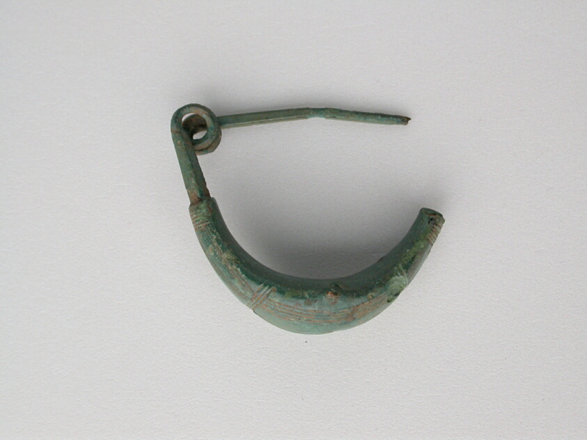 Leech Fibula (Brooch)