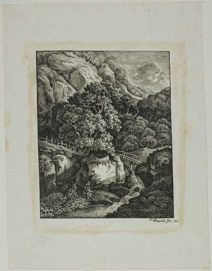 Wooded Mountain Landscape with a Small Waterfall and Pathway