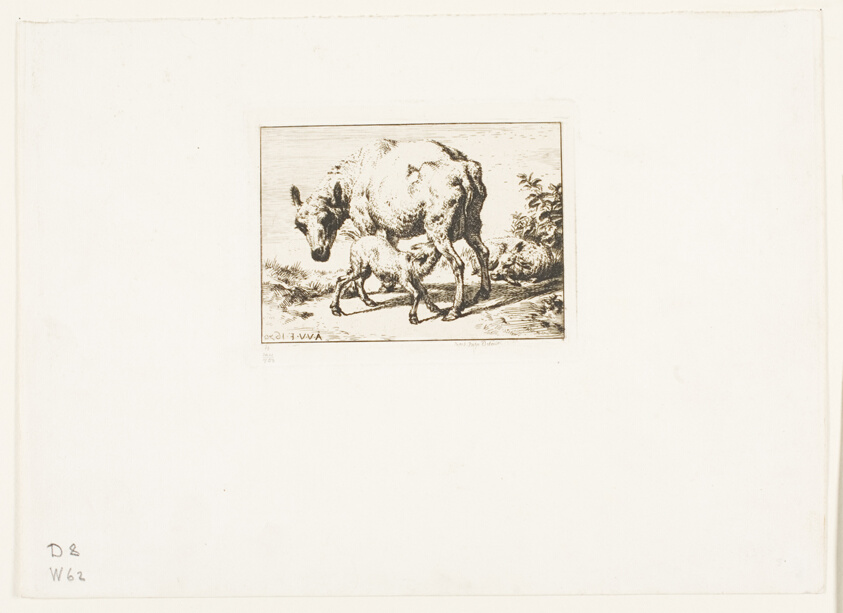 The Ewe with Two Lambs