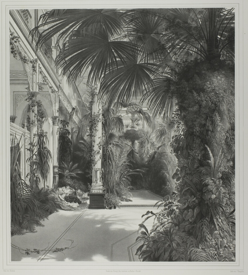 View of the Palm House on the Peacock-Island