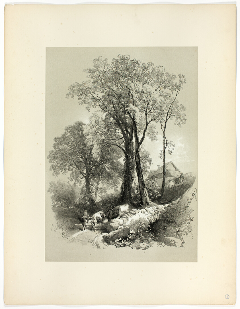 Shipley Bridge, Devon, from Picturesque Selections