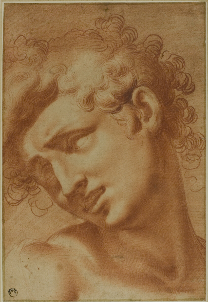 Head of a Youth