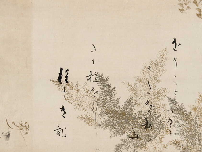 A Poem from the Shin Kokinshu with Design of Shinobugusa (Moss Fern)