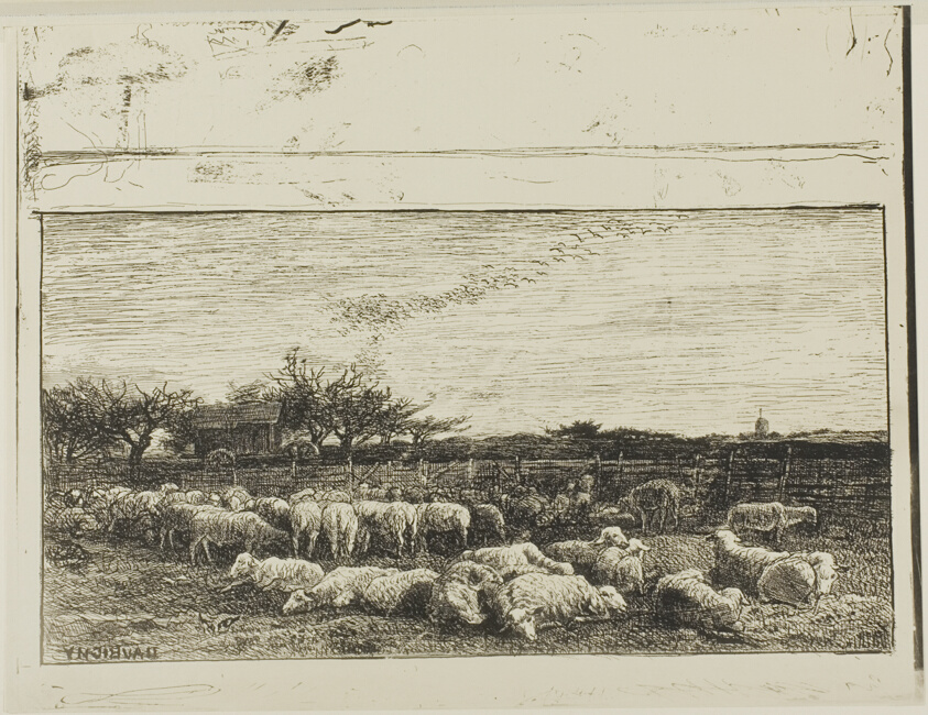 The Large Sheepfold