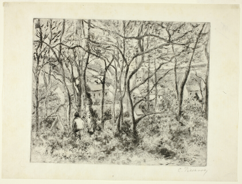 Woodlands at the Hermitage