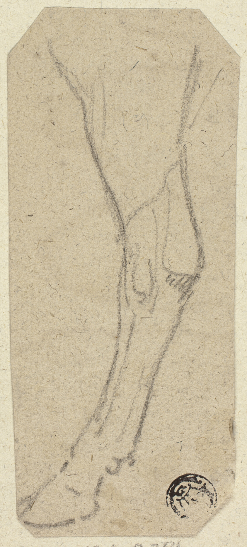Cow's Leg