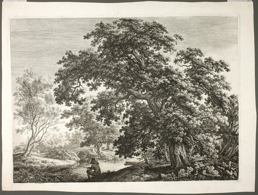 Fisherman in Wooded Landscape