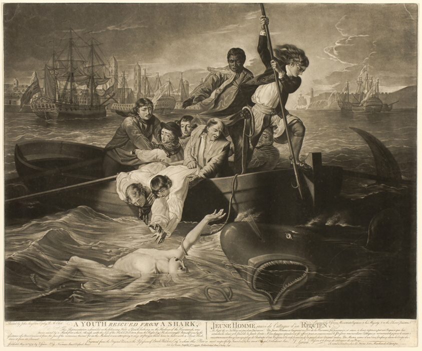 A Youth Rescued from a Shark