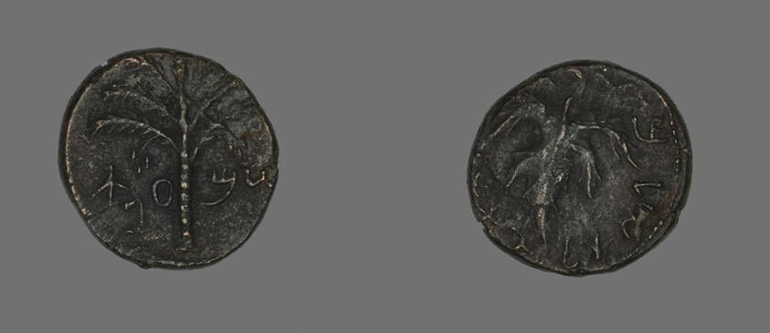 Coin Depicting a Palm Tree