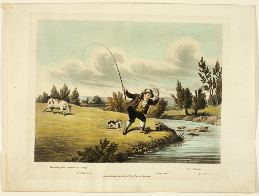 Delights of Fishing
