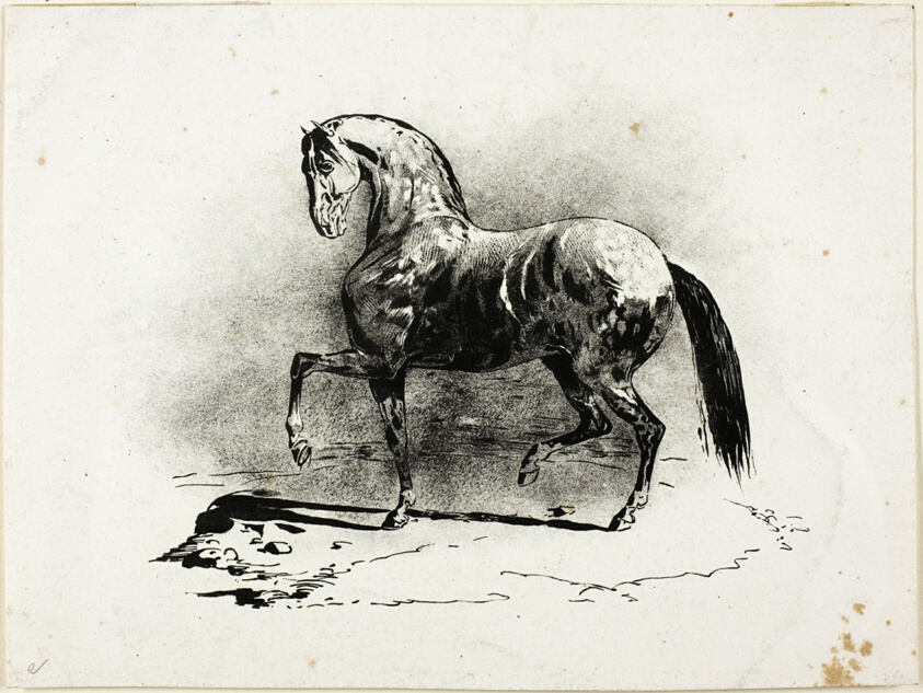 Prancing Horse