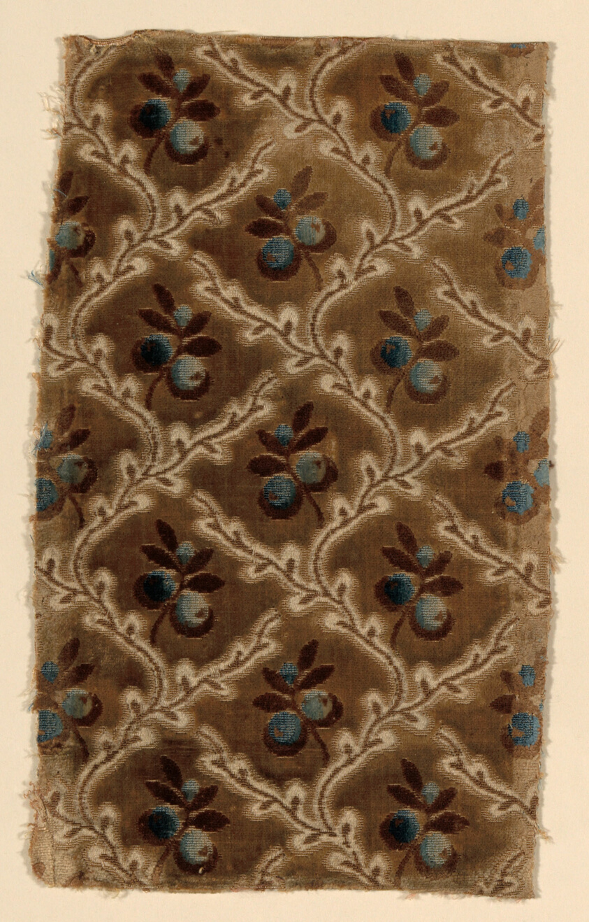 Fragment
