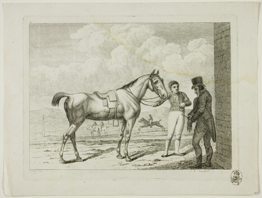 Riding School and Horses