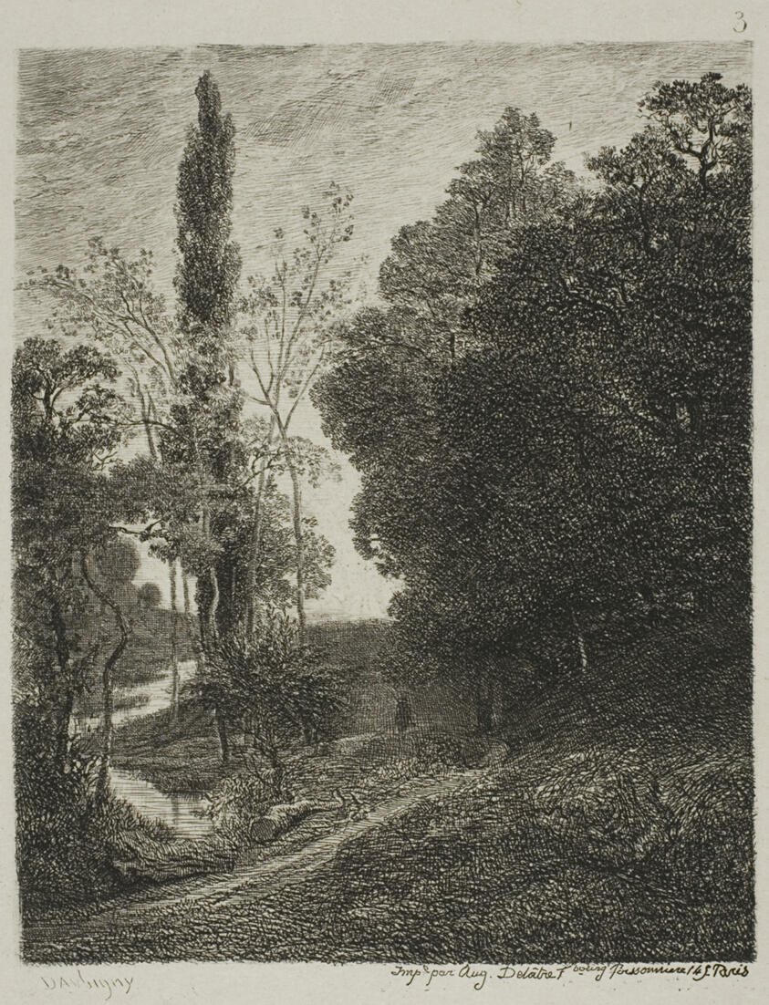 The Banks of the Cousin