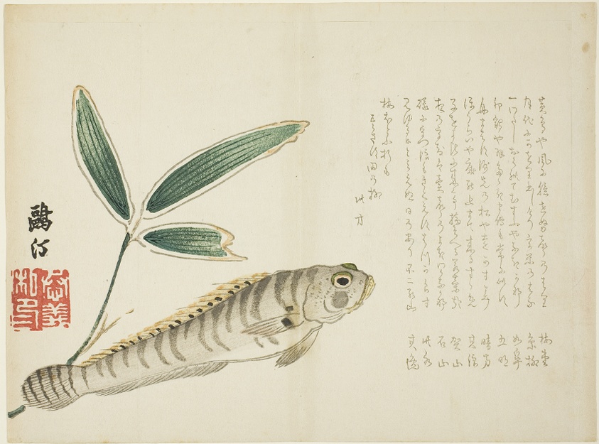 Fish and Bamboo