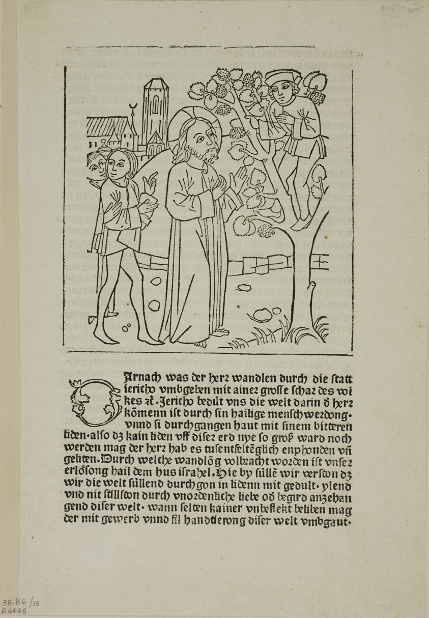 Jesus Calling Zacchaeus from Geistliche Auslegung des Lebens Jesu Christi (The Spiritual Interpretation of the Life of Christ), Plate 15 from Woodcuts from Books of the 15th Century
