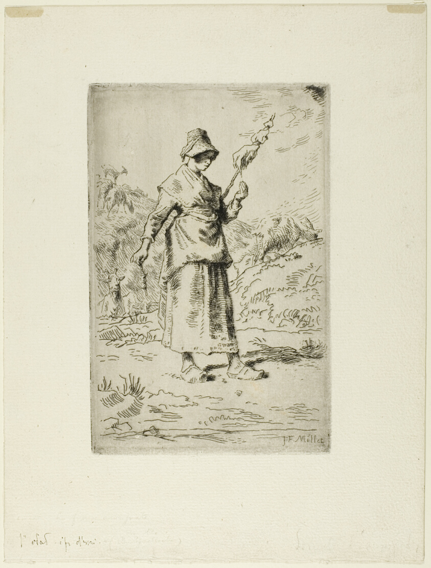 The Spinner