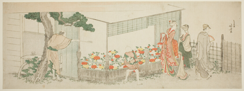The Peony Show