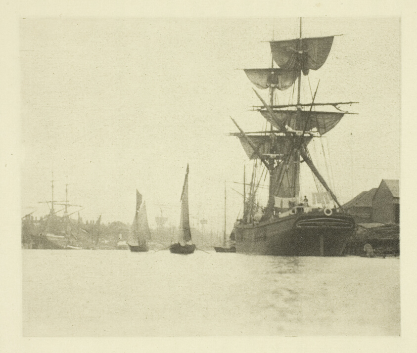 Return of the Shrimpers