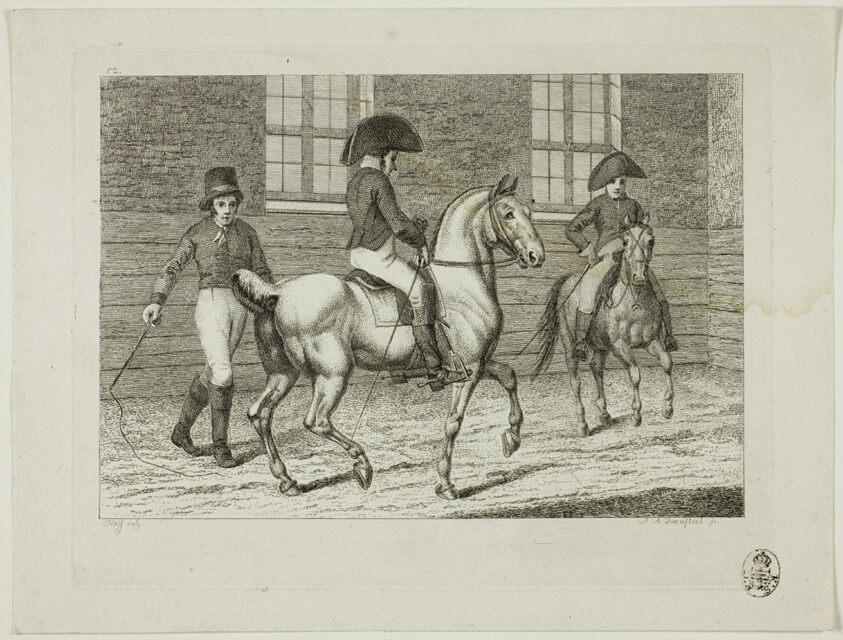 Riding School and Horses