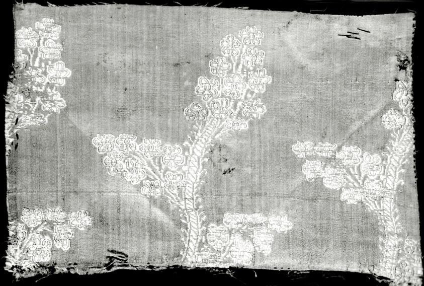 Fragment (Dress Fabric)