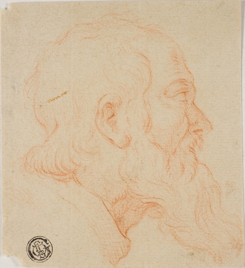 Head of Old Man in Profile to Right