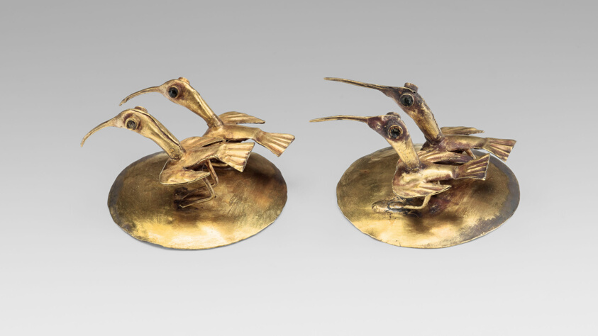 Ear Ornaments with Ibis