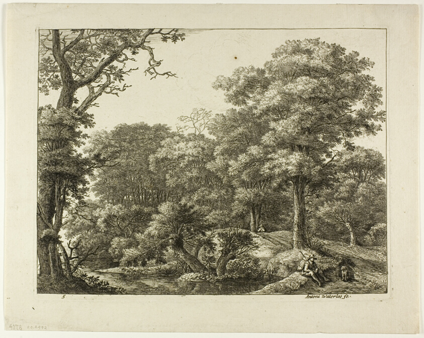 Traveler Resting in the Forest
