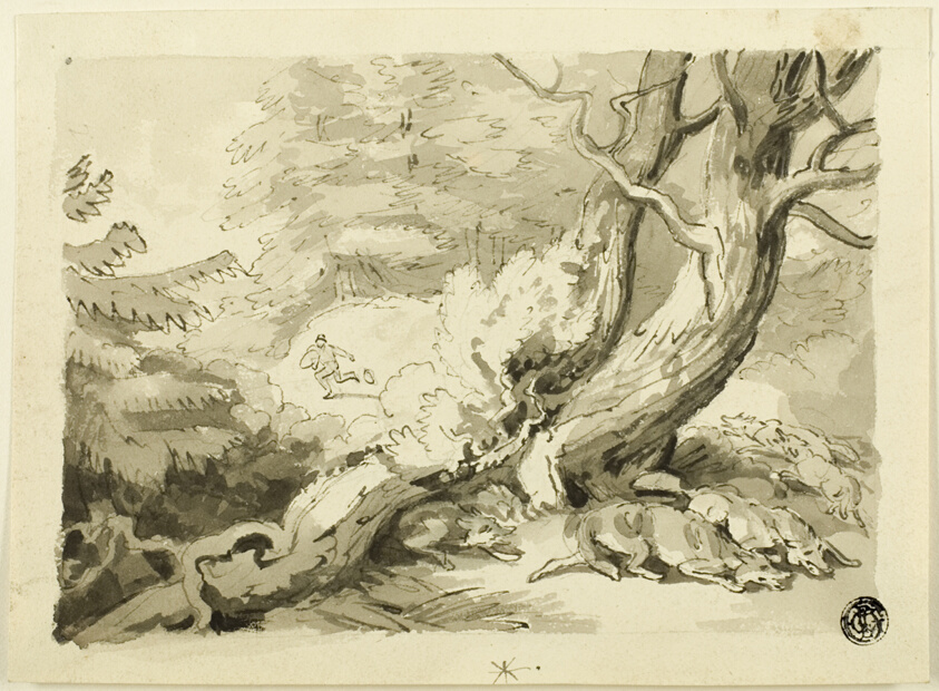 Fox Hunt