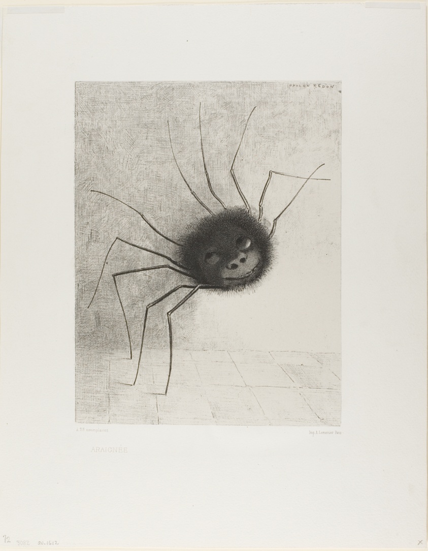 Spider