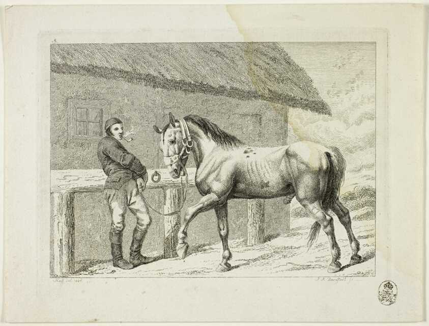 Riding School and Horses