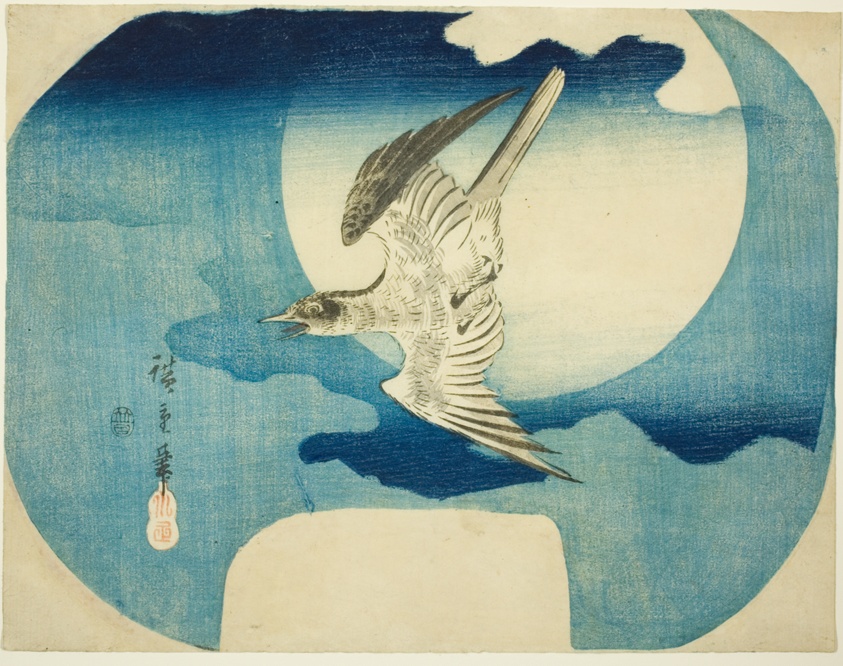 A Cuckoo Against the Moon