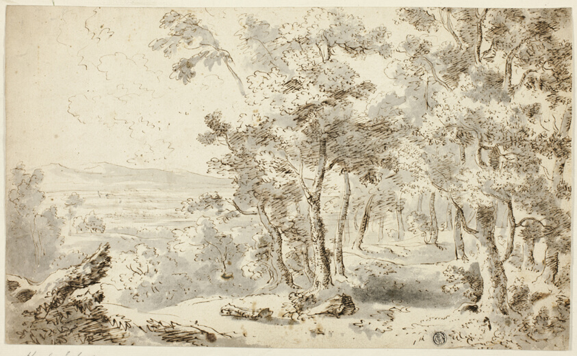 Forest, Valley and Distant Hills