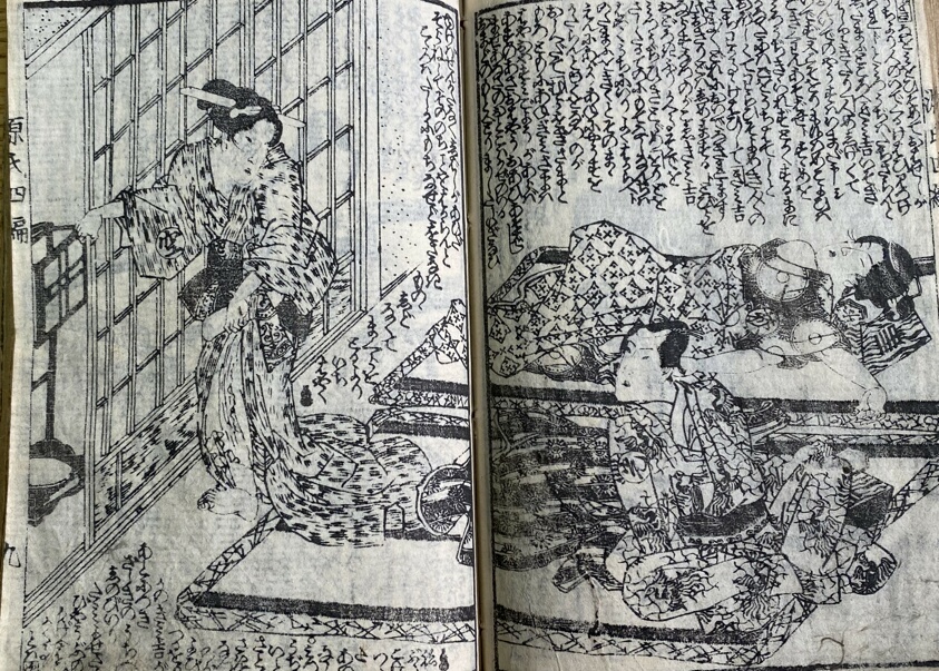 Nise Murasaki Inaka Genji (A Fake Murasaki and a Rural Genji)