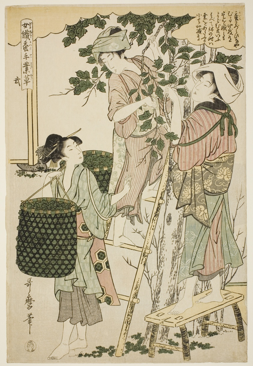 No. 2 (ni), from the series "Women Engaged in the Sericulture Industry (Joshoku kaiko tewaza-gusa)"