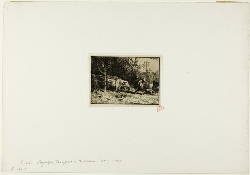 Herd of Cows Coming Out of a Wood