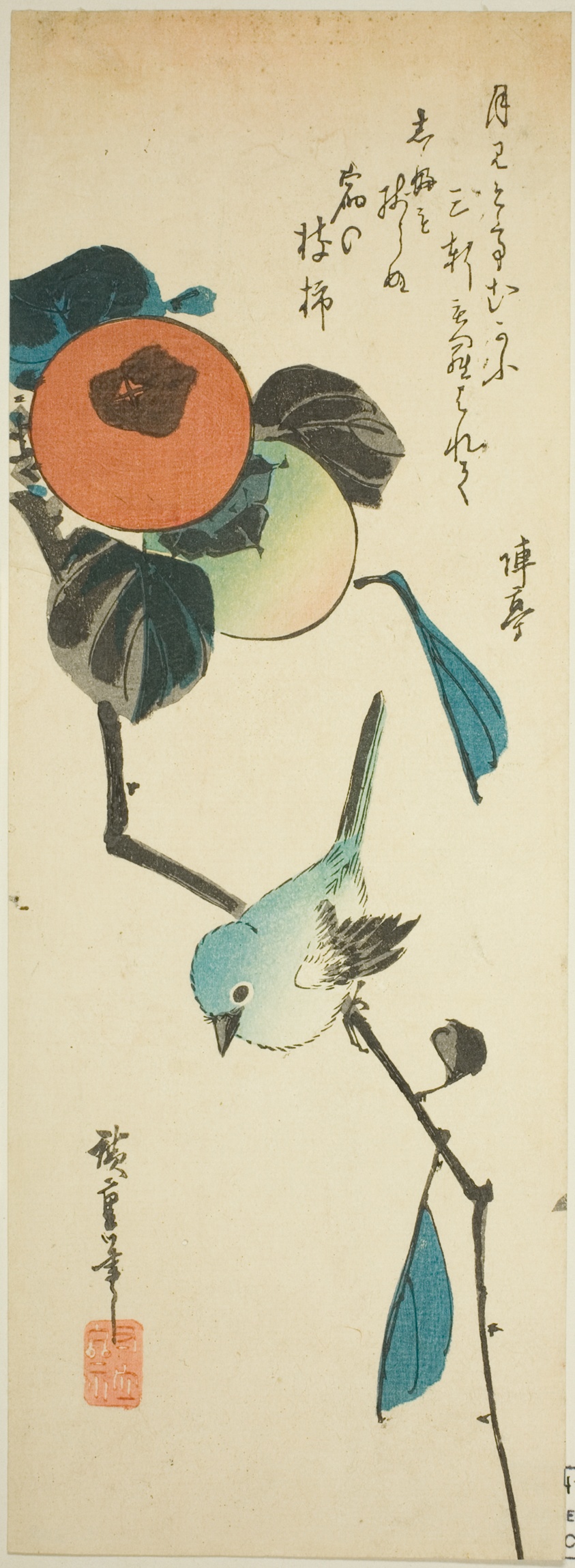 Japanese white-eye and persimmons