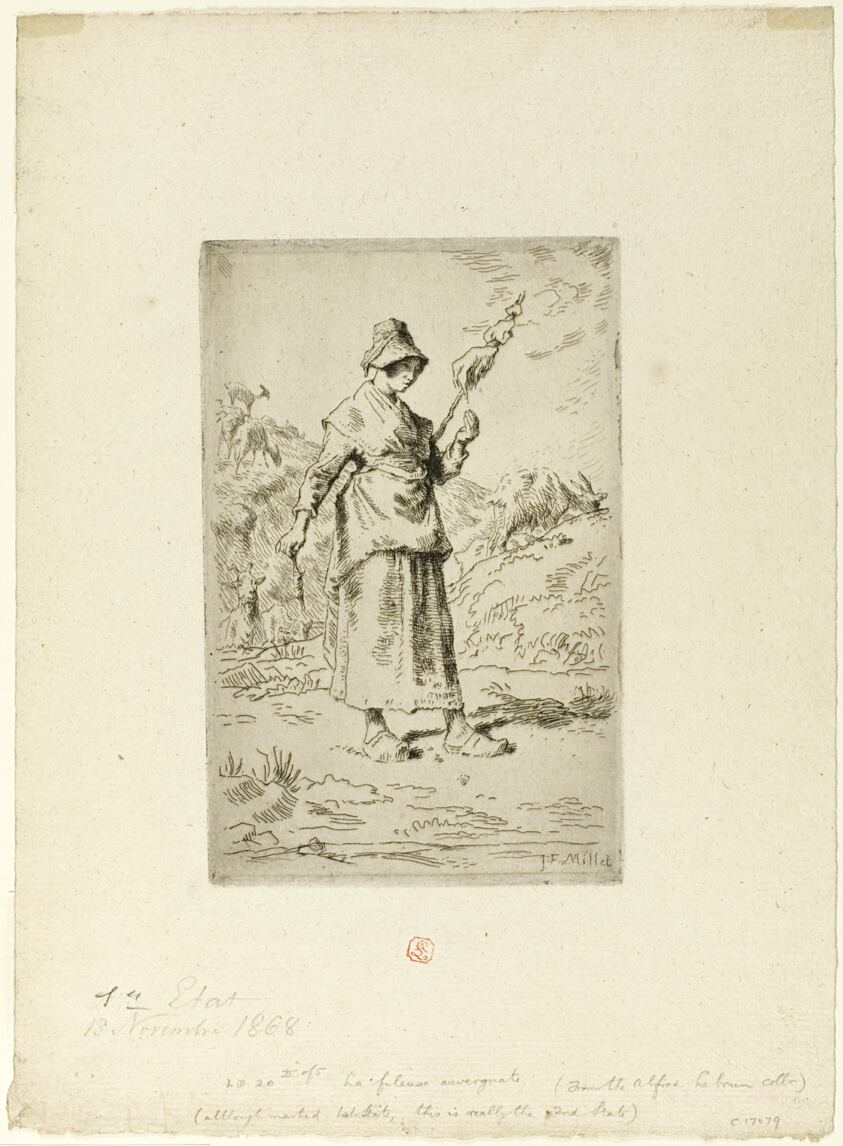 The Spinner