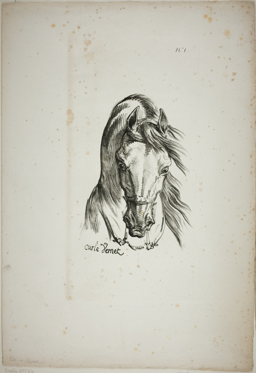 Detail of Horse's Head, Enlarged to Triple Size, Norman Royal Guard, No. 1