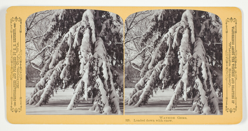 Loaded down with snow, No. 325 from the series "Wayside Gems"