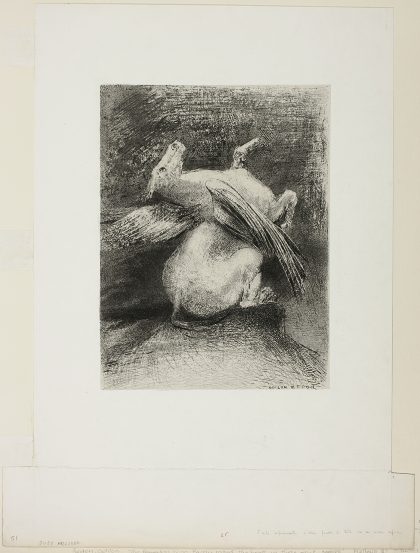 The Impotent Wing Did Not Lift the Animal Into That Black Space, plate 7 of 8 from "Les Origines"