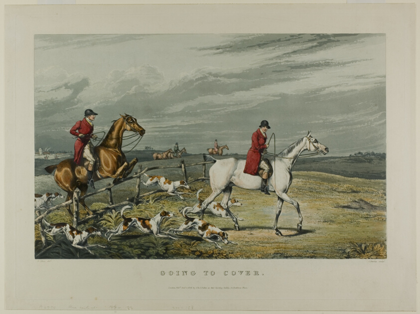 Going to Cover, from the series Fox Hunting