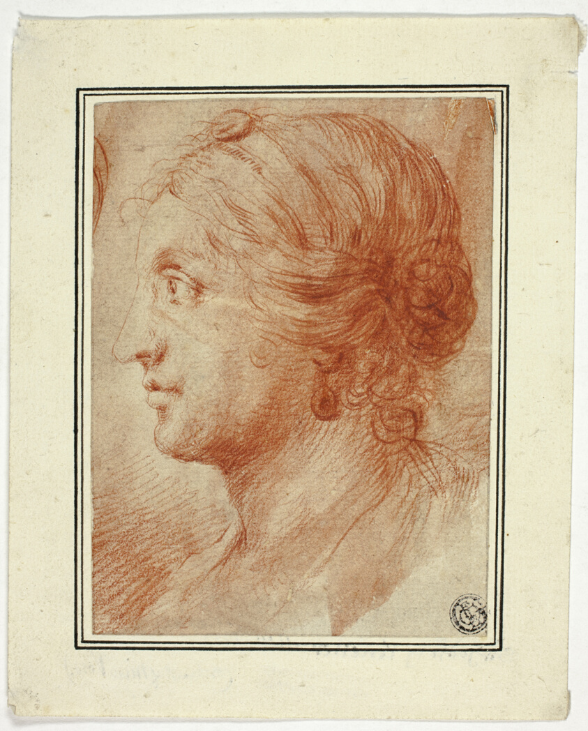 Bust of Woman in Profile to Left