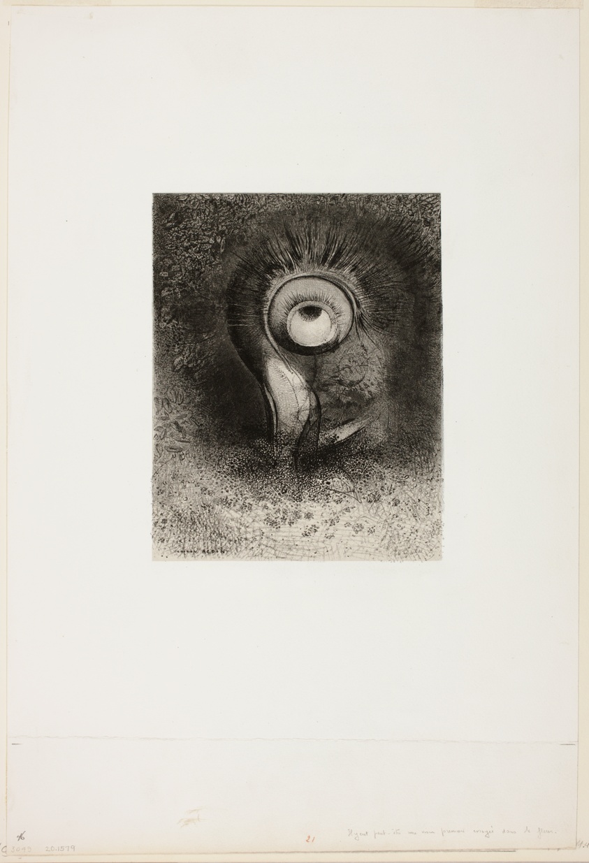 There Was Perhaps a First Vision Attempted in the Flower, plate 2 of 8 from "Les Origines"