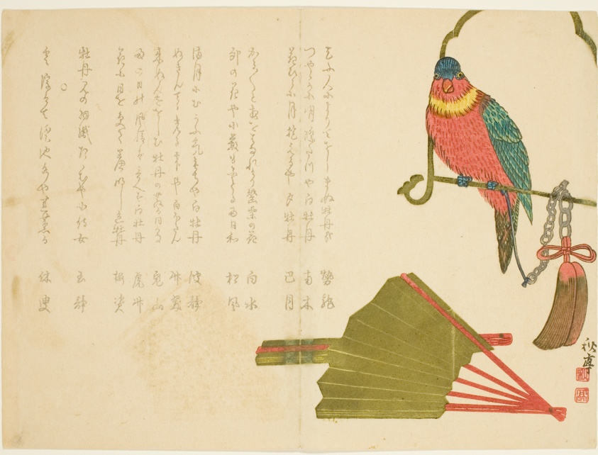 Parrot and Fans