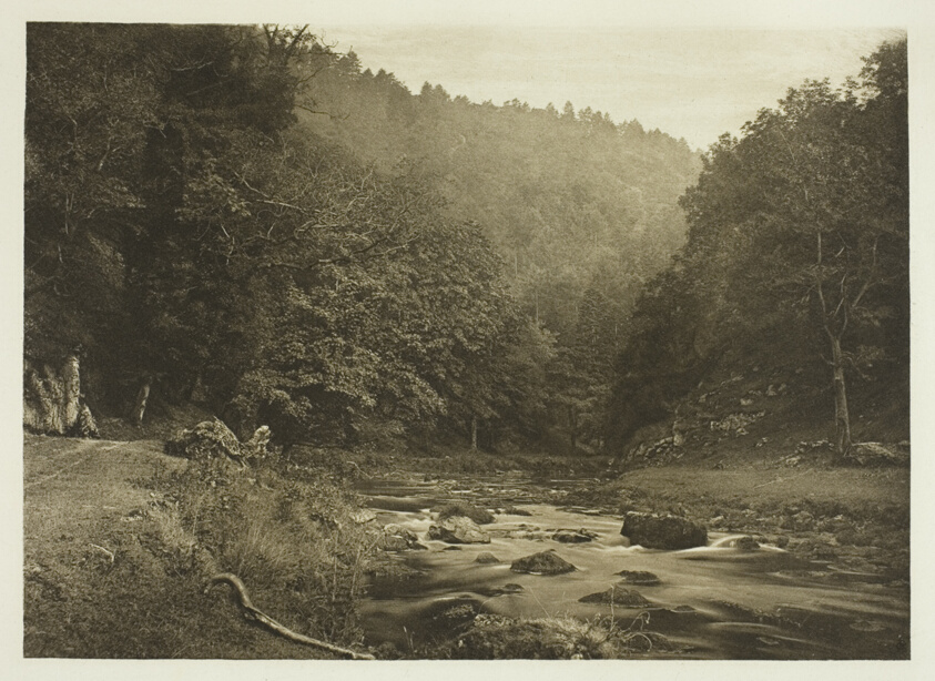 In Dove Dale (Staffordshire Side)