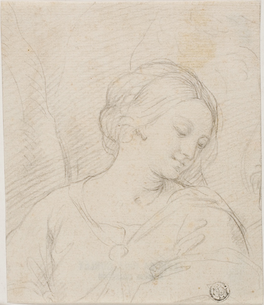 Half-Length View of Madonna