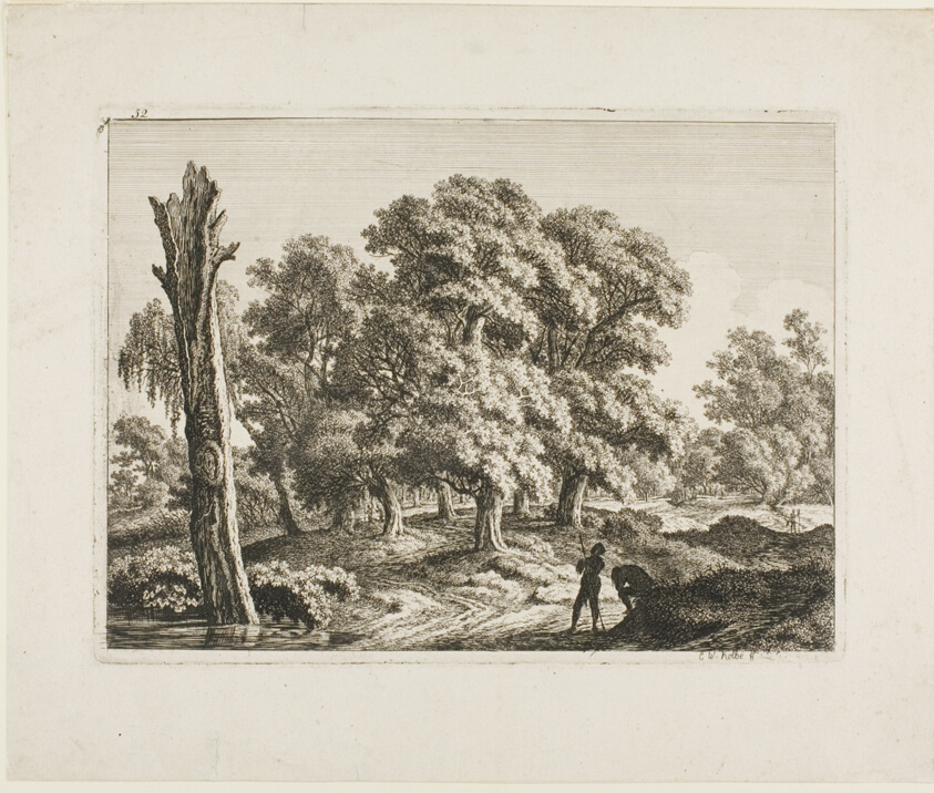 Landscape