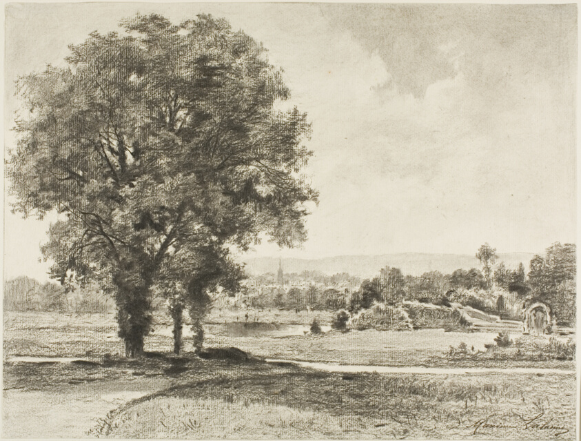 Landscape