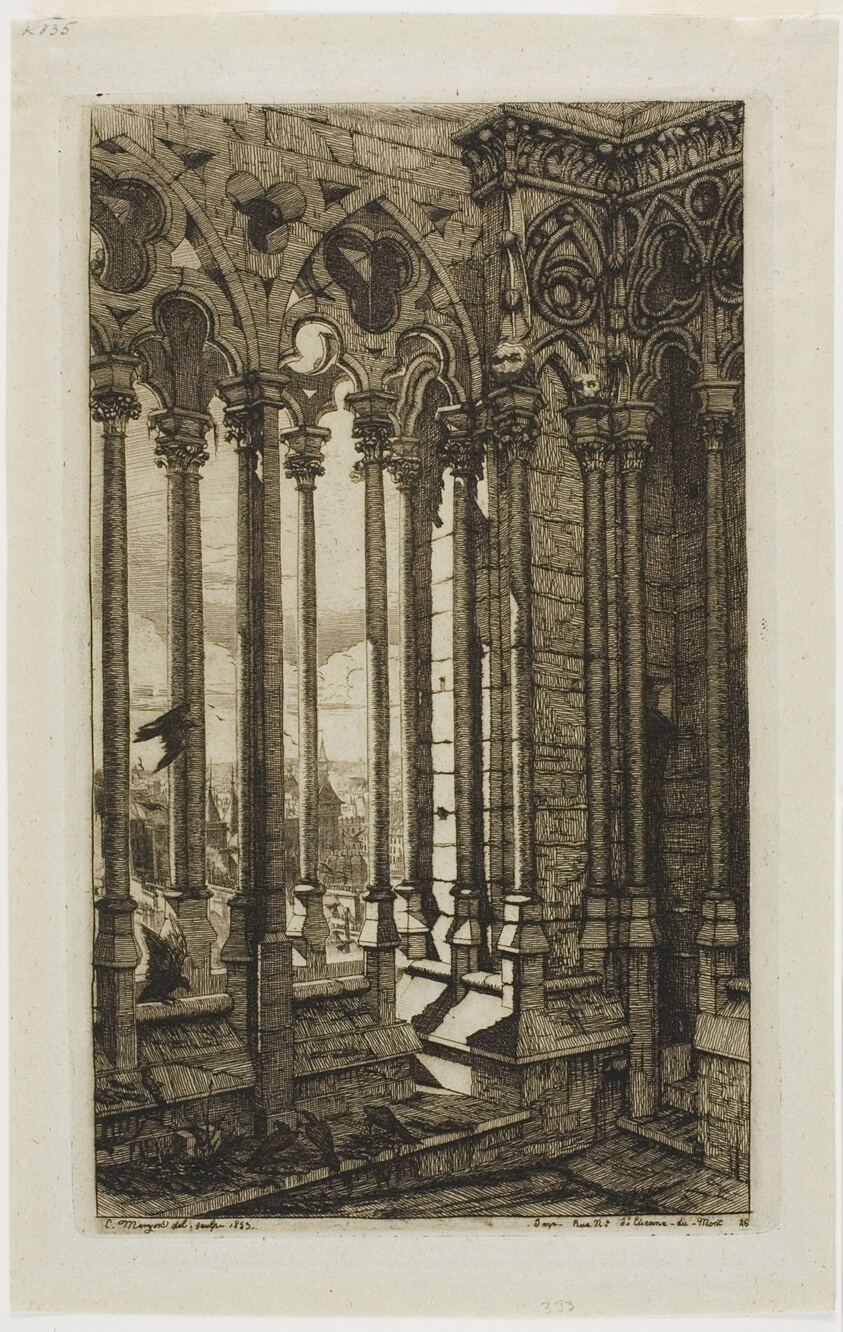 The Gallery of Notre-Dame, Paris